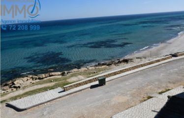 Terrain a vendre sur mer à dar allouche kélibia 29711072