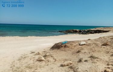 Terrain a vendre sur mer à dar allouche kélibia 29711072